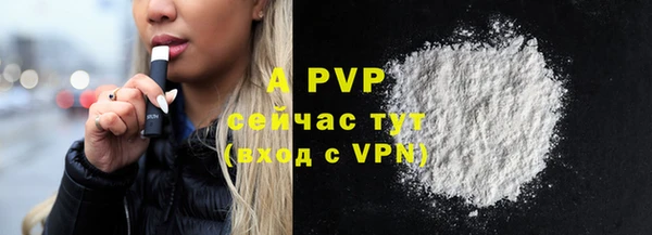 индика Абаза
