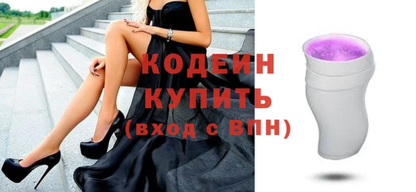 индика Абаза
