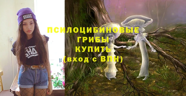 индика Абаза