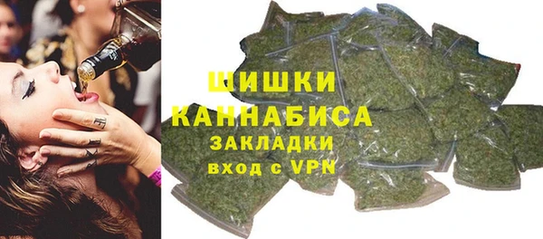 индика Абаза