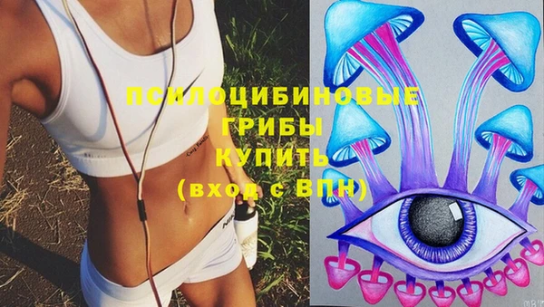 индика Абаза