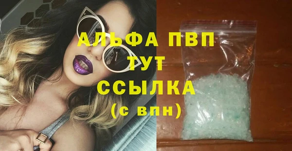 индика Абаза