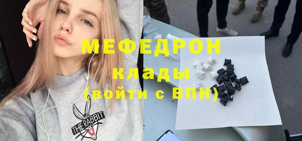 индика Абаза