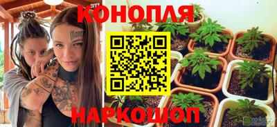 бошки Владимир