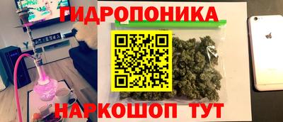 бошки Владимир