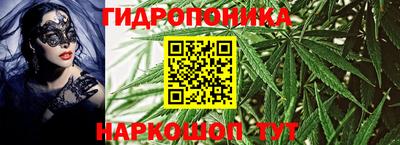 бошки Владимир
