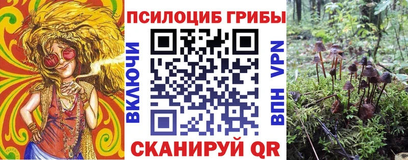 Псилоцибиновые грибы Psilocybe  где найти   Липецк 