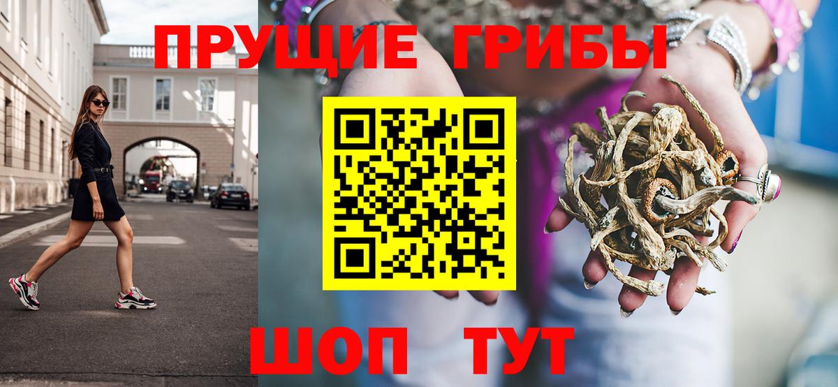 Псилоцибиновые грибы Psilocybe  дарнет шоп  Липецк  Псилоцибиновые грибы мицелий  Вход с VPN 
